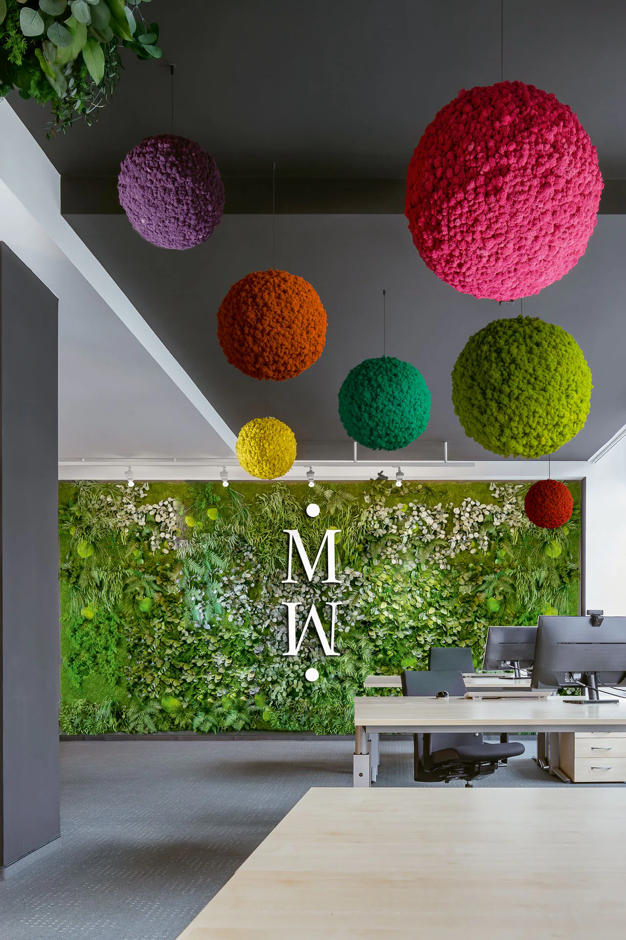Hanging Garden Büro Deckenbegrünung Farbakzente — Deckenbegrünung von MOOSMOOS